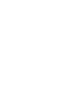 Dash Auto BC