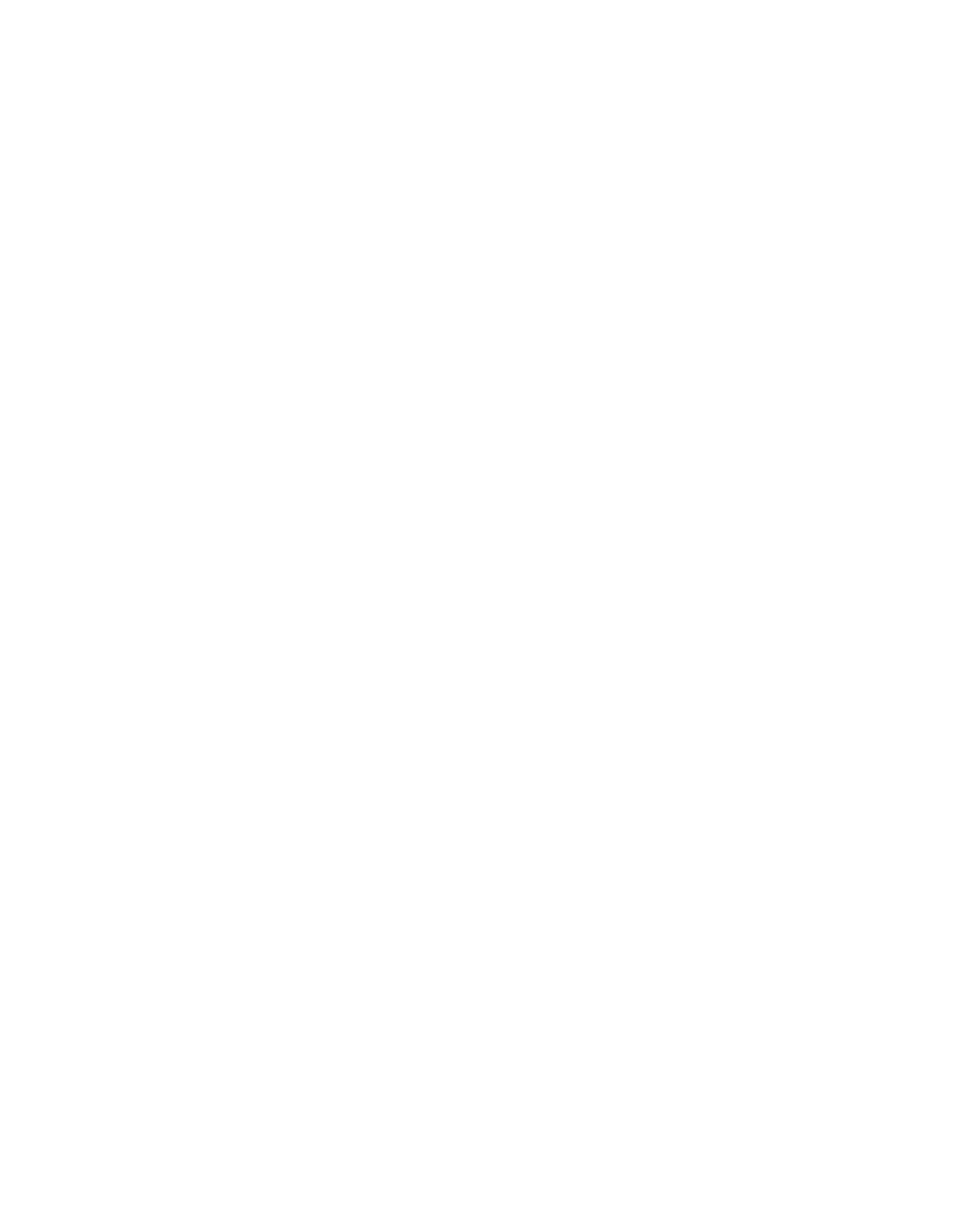 Dash Auto BC